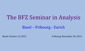 BFZ Analysis Seminar